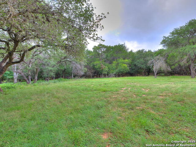 Listing photo id 5 for 16602 Springhill