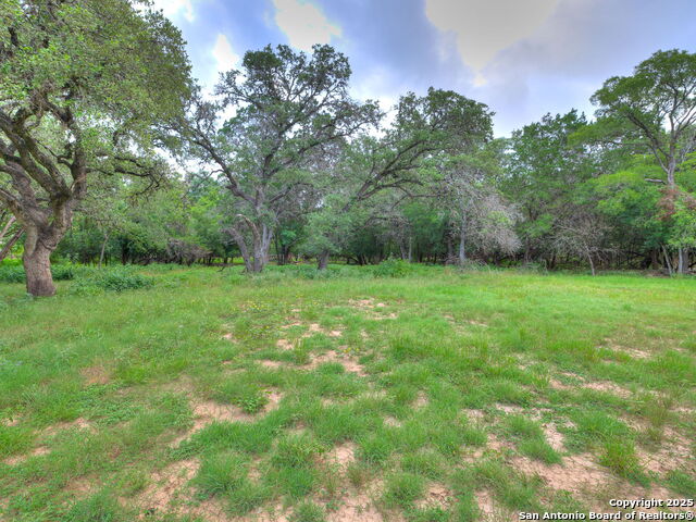 Listing photo id 7 for 16602 Springhill