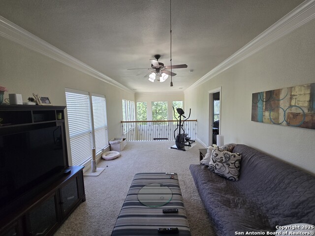 Image 8 of 24 For 10 Ventana 10