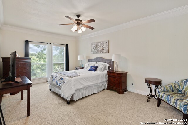 Image 9 of 24 For 10 Ventana 10