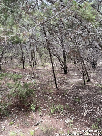 Image 10 of 14 For 724 And 732 Ledgeview