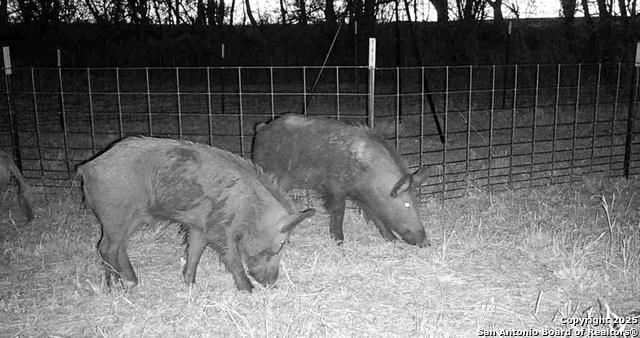 Image 11 of 39 For 00 Cr 304  
