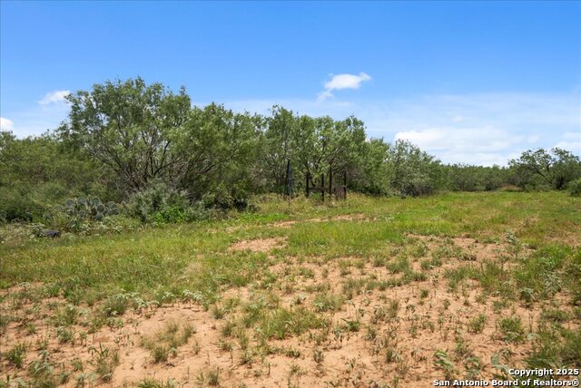 Image 12 of 39 For 00 Cr 304  