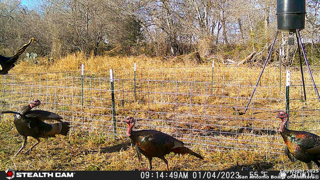 Image 13 of 39 For 00 Cr 304  