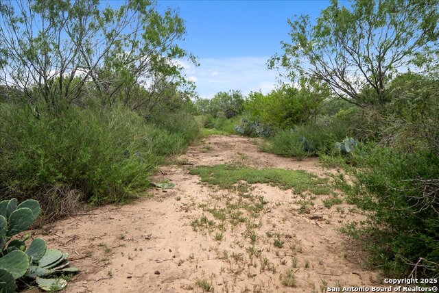 Image 19 of 39 For 00 Cr 304  