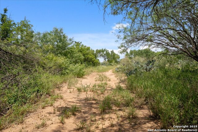 Image 6 of 39 For 00 Cr 304  