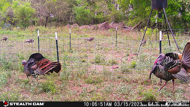 Image 8 of 39 For 00 Cr 304  