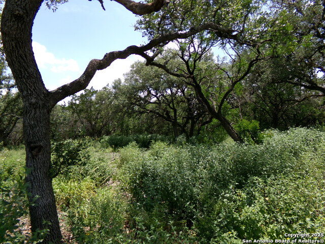 Listing photo id 8 for 1881 Grand Oaks