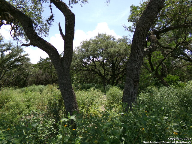 Listing photo id 10 for 1881 Grand Oaks