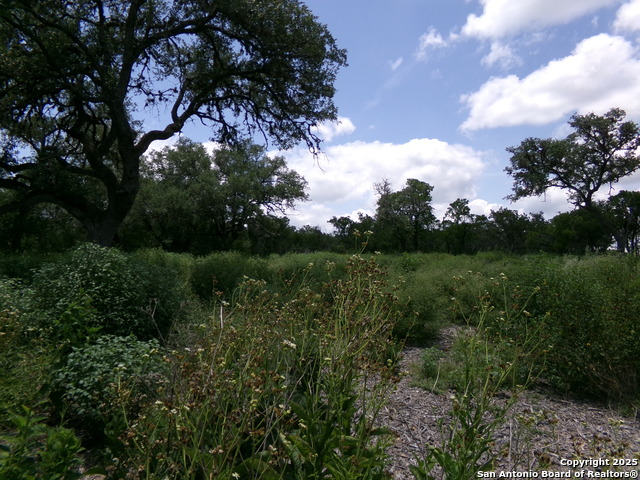 Listing photo id 0 for 1881 Grand Oaks