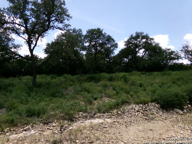 Listing photo id 1 for 1881 Grand Oaks