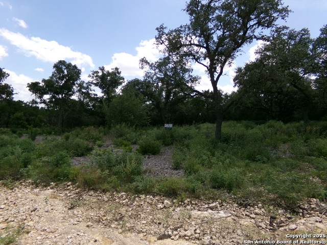 Listing photo id 2 for 1881 Grand Oaks