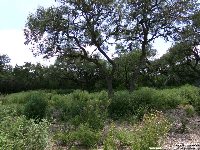 Listing photo id 3 for 1881 Grand Oaks