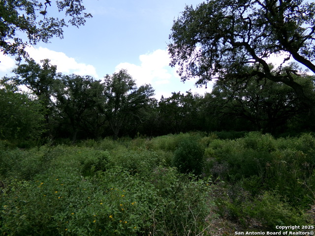 Listing photo id 4 for 1881 Grand Oaks