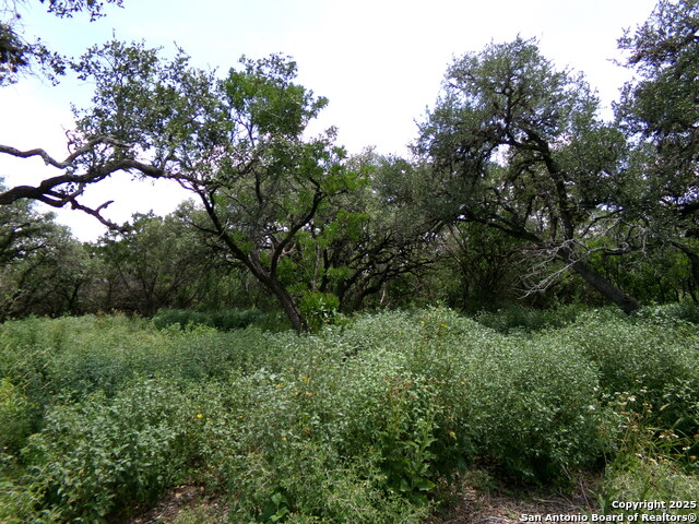Listing photo id 5 for 1881 Grand Oaks