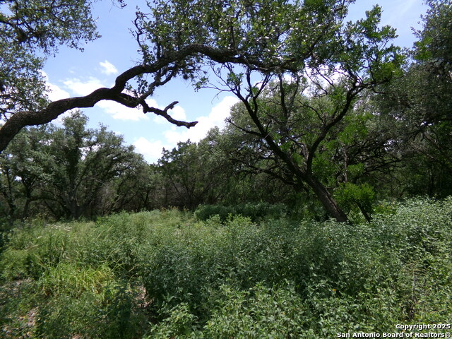 Listing photo id 6 for 1881 Grand Oaks