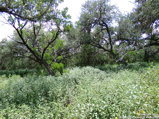 Listing photo id 7 for 1881 Grand Oaks