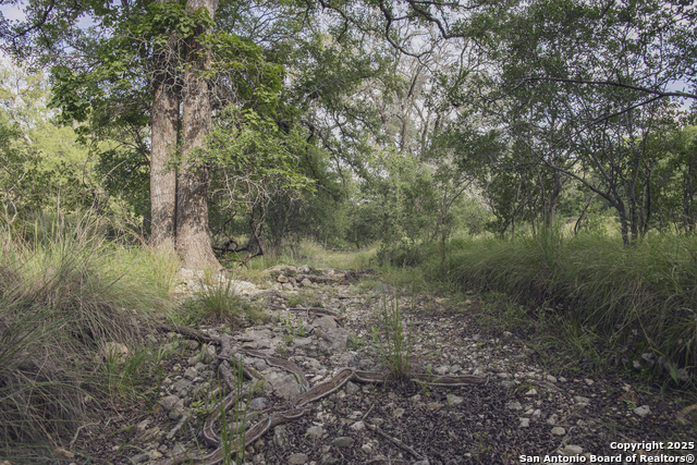 Image 65 of 103 For 241 Seewald  