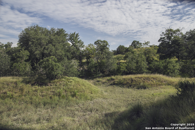Image 66 of 103 For 241 Seewald  