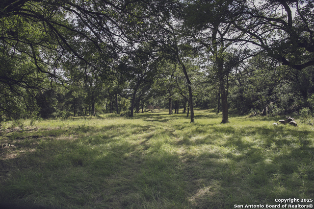 Image 68 of 103 For 241 Seewald  