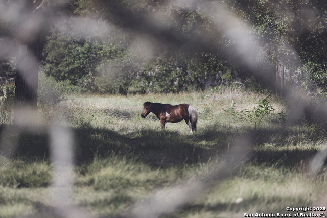 Image 69 of 103 For 241 Seewald  
