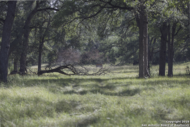 Image 72 of 103 For 241 Seewald  