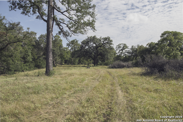 Image 73 of 103 For 241 Seewald  