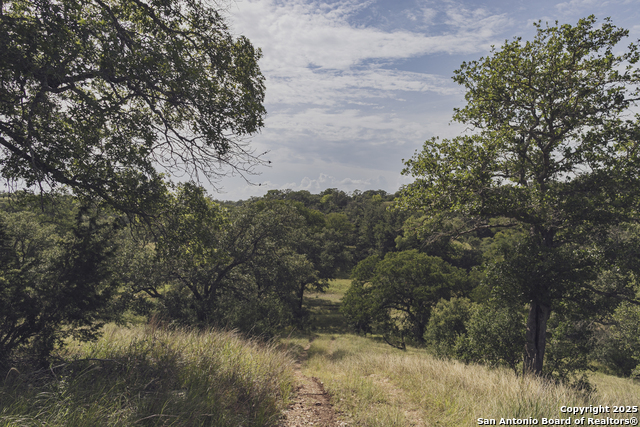 Image 74 of 103 For 241 Seewald  
