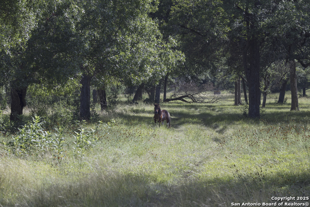 Image 76 of 103 For 241 Seewald  