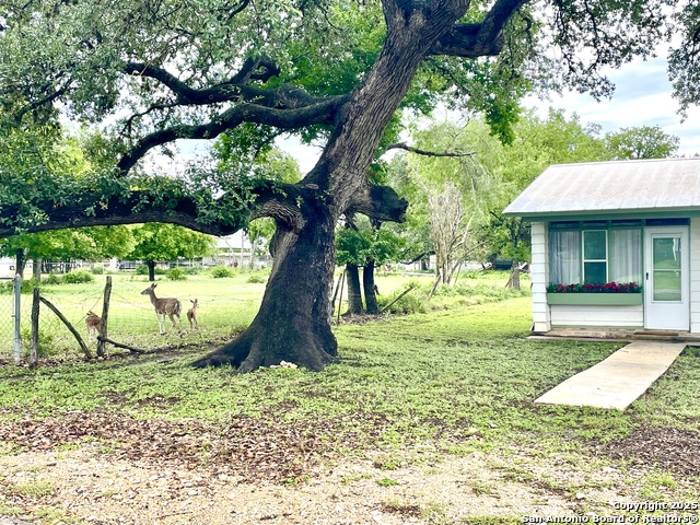 Image 27 of 35 For 406 Hackberry