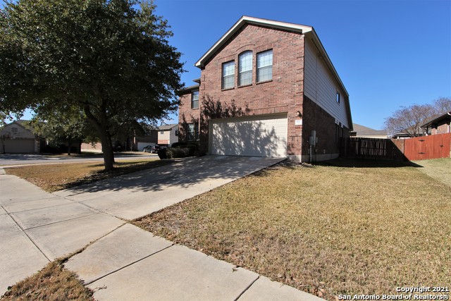 Image 2 of 43 For 100 Ling  