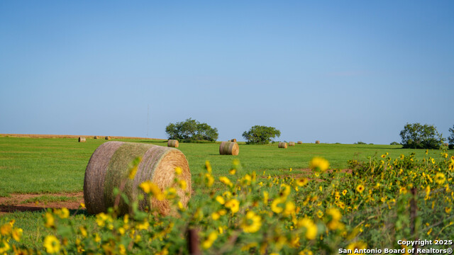 Image 45 of 57 For 2387 Fm 537  