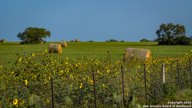 Image 46 of 57 For 2387 Fm 537  
