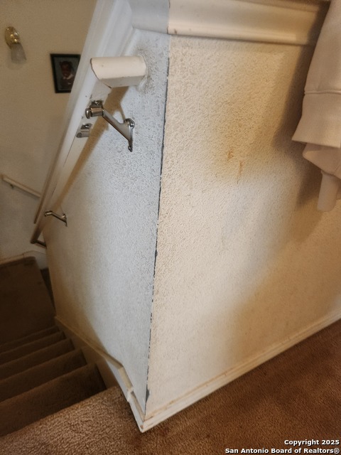 Image 18 of 19 For 8610 Braun Knl