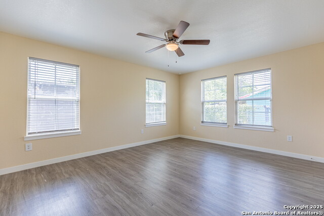 Image 14 of 27 For 5534 Painted Horse