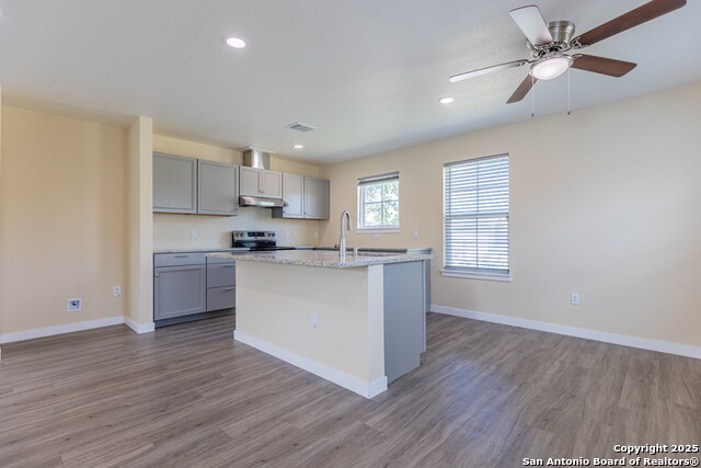 Image 5 of 27 For 5534 Painted Horse