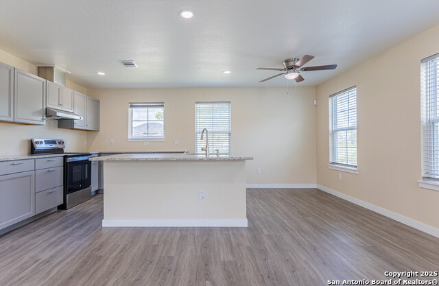 Image 9 of 27 For 5534 Painted Horse