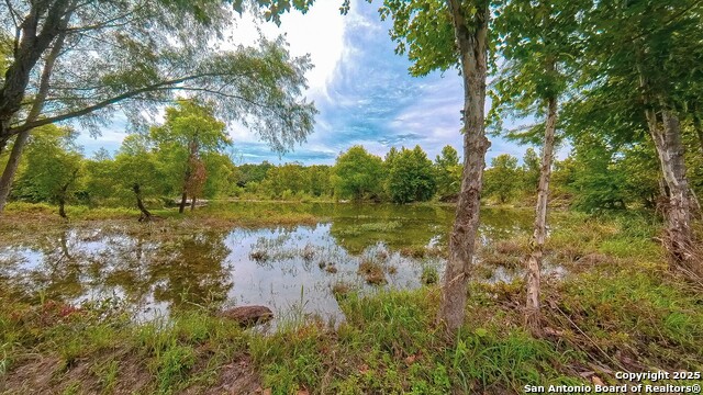 Image 39 of 40 For 925 Martingale Trail