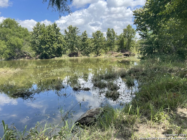 Image 5 of 40 For 925 Martingale Trail