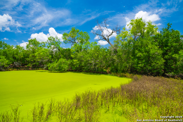 Image 11 of 40 For 4614 County Road 5232