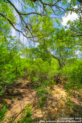 Image 15 of 40 For 4614 County Road 5232