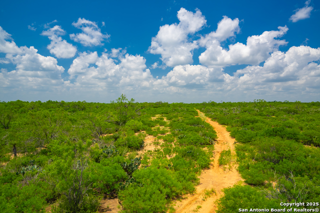 Image 16 of 40 For 4614 County Road 5232