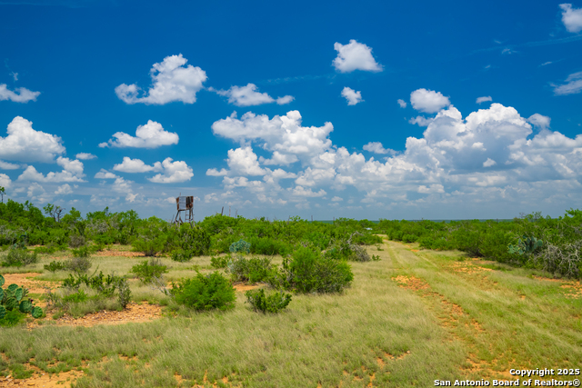 Image 17 of 40 For 4614 County Road 5232