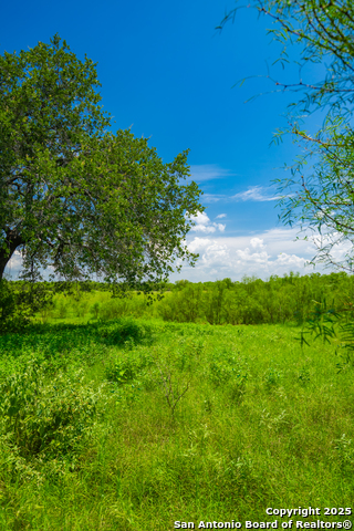 Image 21 of 40 For 4614 County Road 5232