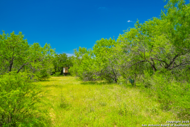 Image 22 of 40 For 4614 County Road 5232