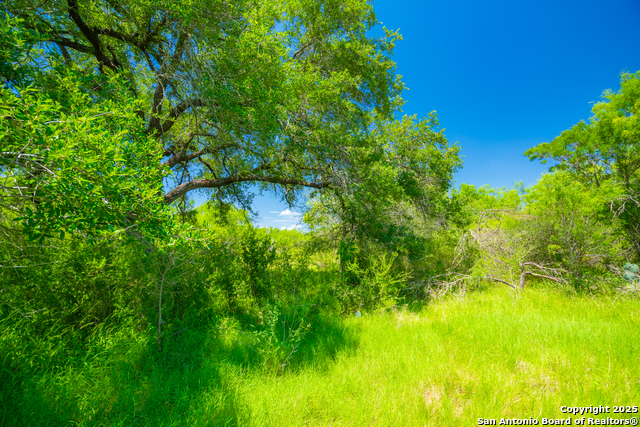 Image 32 of 40 For 4614 County Road 5232
