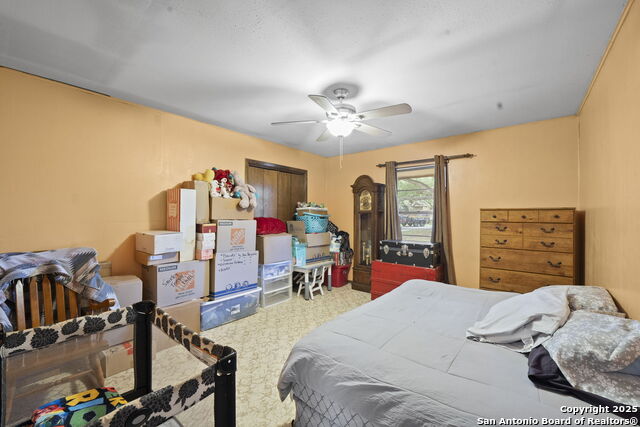 Image 17 of 25 For 311 Indian Pink