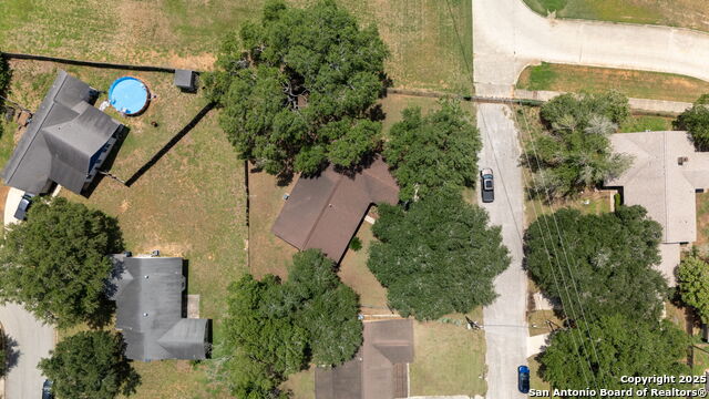 Image 24 of 25 For 311 Indian Pink