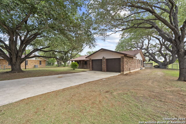 Image 4 of 25 For 311 Indian Pink