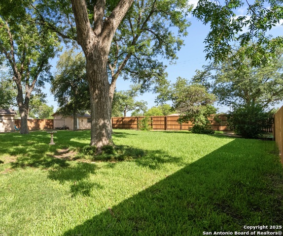 Listing photo id 25 for 818 Cherry  
